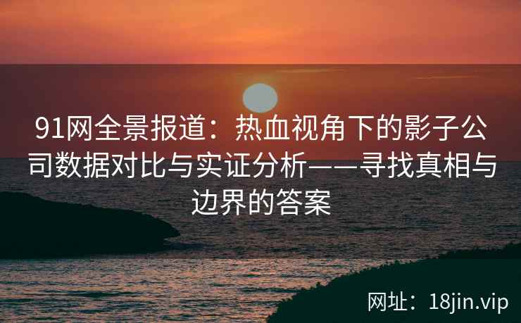 91网全景报道：热血视角下的影子公司数据对比与实证分析——寻找真相与边界的答案