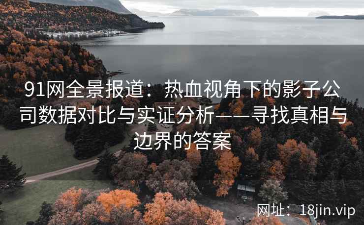 91网全景报道：热血视角下的影子公司数据对比与实证分析——寻找真相与边界的答案