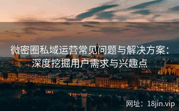 微密圈私域运营常见问题与解决方案：深度挖掘用户需求与兴趣点