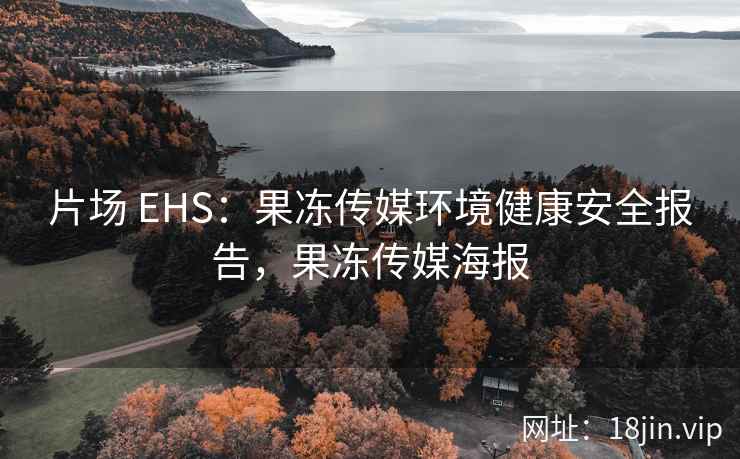 片场 EHS：果冻传媒环境健康安全报告，果冻传媒海报