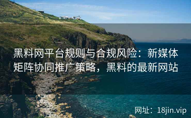 黑料网平台规则与合规风险：新媒体矩阵协同推广策略，黑料的最新网站